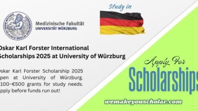 University of Würzburg Oskar Karl Forster Scholarship 2025 for International and Local Students