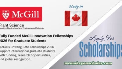 McGill University Chwang-Seto Innovation Fellowships 2026 for International Students