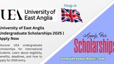 UEA undergraduate scholarships 2025 for international students
